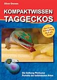 Kompaktwissen Taggeckos: Die Gattung Phelsuma. Portr&auml;ts der beliebtesten Arten. Von A wie Anschaffung bis Z wie Zucht