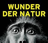 Wunder der Natur: Die Intelligenz der Schöpfung. Ausstellungskatalog, 2016. Hrsg.: Gasometer Oberhausen GmbH