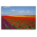 Premium Textil-Leinwand 120 x 80 cm Quer-Format Historische Hubbrücke | Wandbild, HD-Bild auf Keilrahmen, Fertigbild auf hochwertigem Vlies, Leinwanddruck von Beate Bussenius