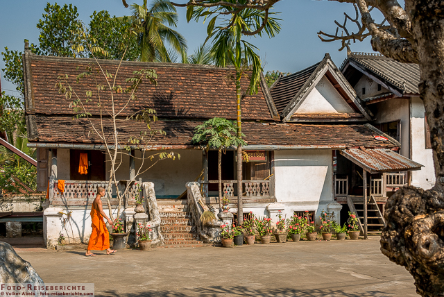 Mönch im Wat Sop Sickharam, ein Tempel in Luang Prabang, Laos © Volker Abels - www.foto-reiseberichte.com