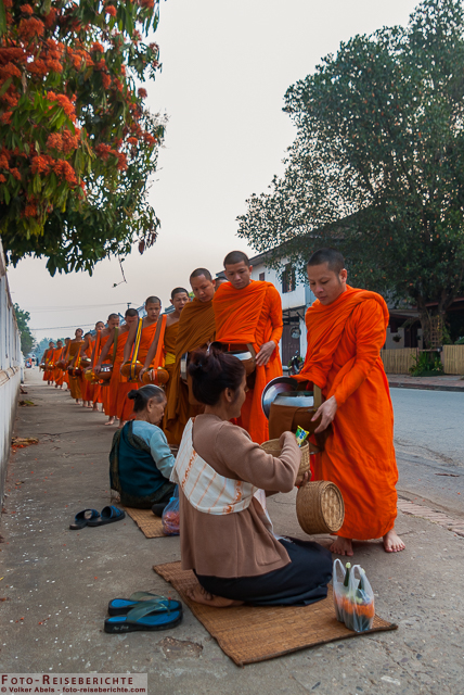 Laos - Luang Prabang - Mönche erhalten ihr Speisung von Gläubigen © Volker Abels Laos - Luang Prabang - Mönche erhalten ihr Speisung von Gläubigen © Volker Abels - www.foto-reiseberichte.com.jpg