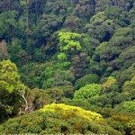 Bilder und Fotos speichern - im Urlaub und auf Reisen