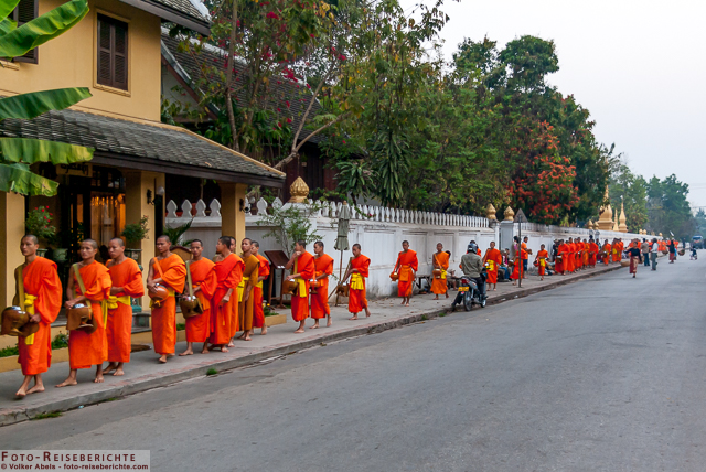 Luang Prabang - Laos - Mönche stellen sich auf um die Mönchsspeisung zu empfangen © Volker Abels www.foto-reiseberichte.com Luang Prabang - Laos - Mönche stellen sich auf um die Mönchsspeisung zu empfangen © Volker Abels www.foto-reiseberichte.com