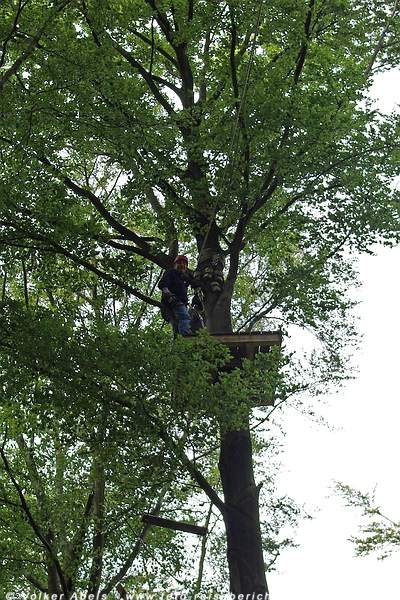 Klettern im Kletterpark Wetter - hoch im Baum - © Ploenphit Abels Klettern im Kletterpark Wetter - an der Kletterwand - hoch im Baum - © Ploenphit Abels
