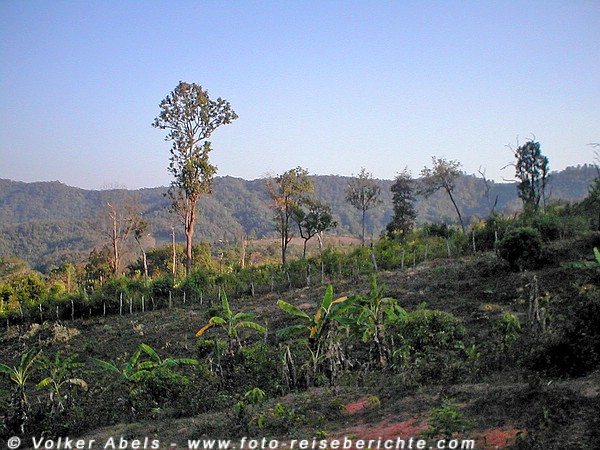 Thailand nördlich von Chiang Mai © Volker Abels Thailand nördlich von Chiang Mai © Volker Abels