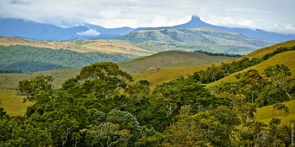 Wunderschöne Gran Sabana in Venezuela © Gunther Wegner (gewegner.de) Wunderschöne Gran Sabana in Venezuela © Gunther Wegner (gewegner.de)