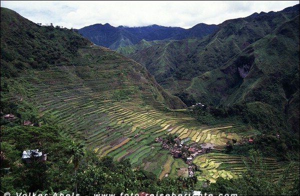 Blick auf das Dorf Batad, inmitten der grandiosen Reisterassen, umschlossen von zwei Bergketten der Cordillera, Luzon - Philippinen © Volker Abels Blick auf das Dorf Batad, inmitten der grandiosen Reisterassen, umschlossen von zwei Bergketten der Cordillera, Luzon - Philippinen © Volker Abels