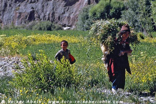 Freundlichen Menschen, denen wir unterwegs begegnen. © Volker Abels Freundlichen Menschen, denen wir unterwegs begegnen. © Volker Abels