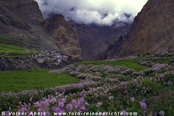 Farbklecks im Grau der Berghänge: bunte Blumenbänder in Gerstefeldern. © Volker Abels Farbklecks im Grau der Berghänge: bunte Blumenbänder in Gerstefeldern. © Volker Abels