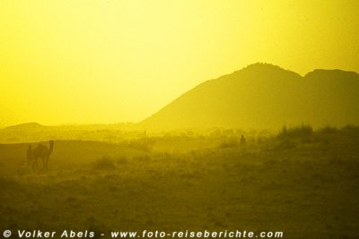 Kamelführer mit einem Tier im Sonnenlicht - Indien © Volker Abels
