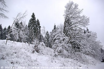 Eis und Schnee © Volker Abels
