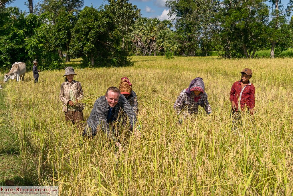 Zusammen mit Reisbauern auf einem Feld in Kambodscha Foto zum Artikel: Interview - 19 Fragen zum Thema Reisen - Zusammen mit Reisbauern auf einem Feld in Kambodscha
