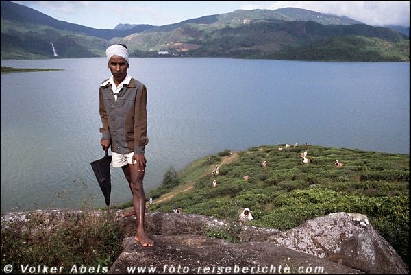 Aufseher auf einer Teeplantage in Sri Lanka © Volker Abels Aufseher auf einer Teeplantage in Sri Lanka © Volker Abels