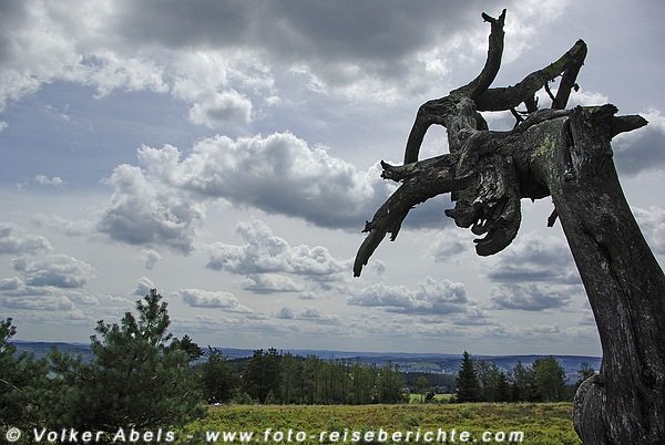 Kahler Asten - höchster Berg von NRW © Volker Abels