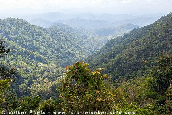 Foto der Woche - Berglandschaft in Thailand 5 Bergweld in Nordthailand bei Samoeng © Volker Abels