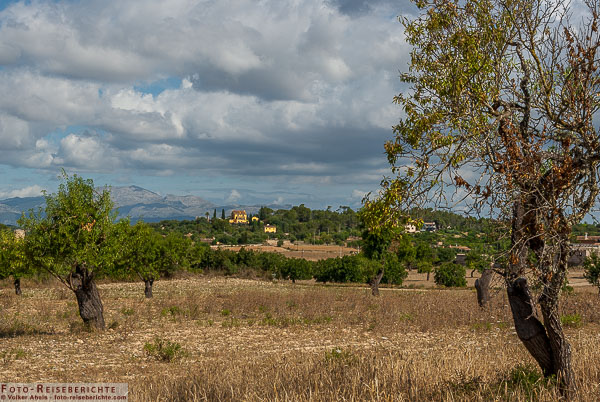Landschaft im Inneren der Insel Mallorca