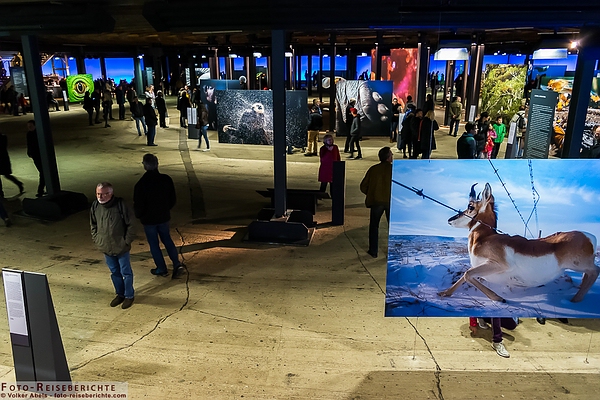 Austellung - Wunder der Natur 