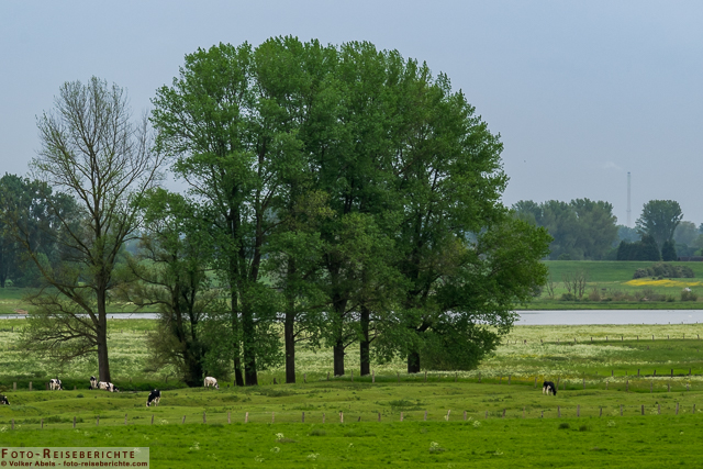 Landschaft - Bislicher Insel_01 - © Volker Abels www.foto-reiseberichte.com