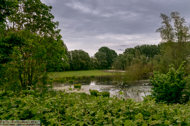 Teichlandschaft im Naturschutzgebiet- Bislicher Insel - © Volker Abels www.foto-reiseberichte.com