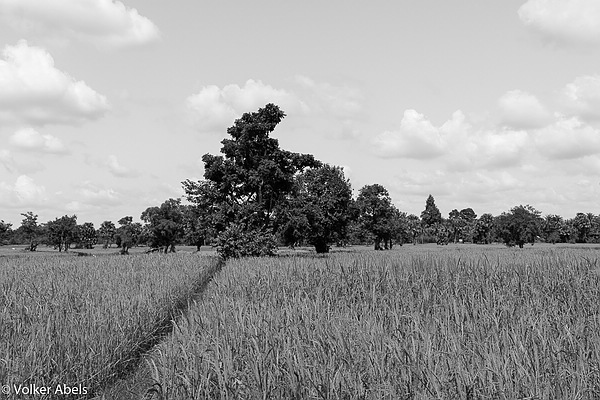 Abbildung: Landschaftsfoto mit Blaufilter www.foto-reiseberichte.com