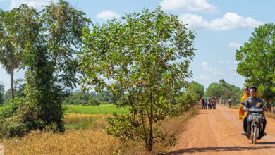 Schotterpiste in Kambodscha