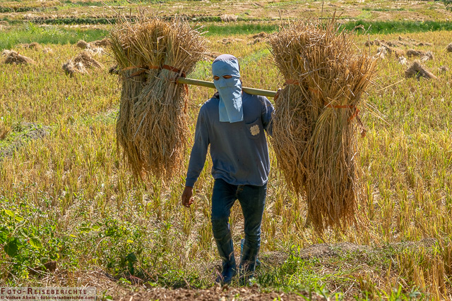 Reisbauer mit Sonnenschutz - www.foto-reiseberichte,com