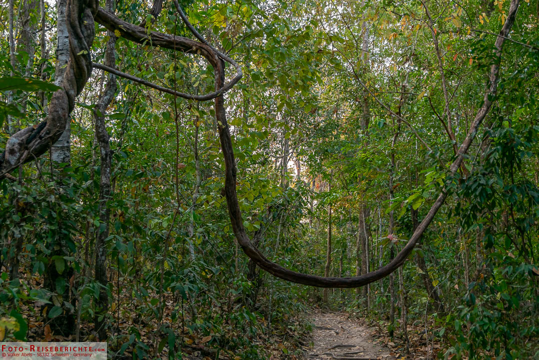 Der Monks Trail in Chaing Mai Der Monks Trail in Chaing Mai