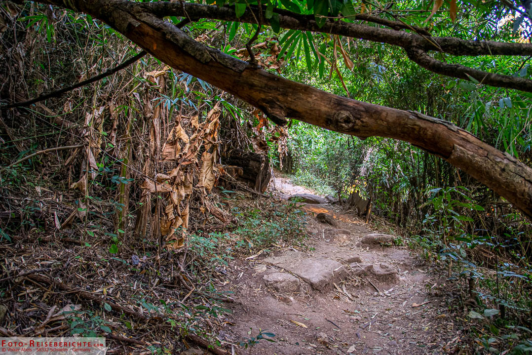 Pfad zum Wat Pha Lat Pfad zum Wat Pha Lat