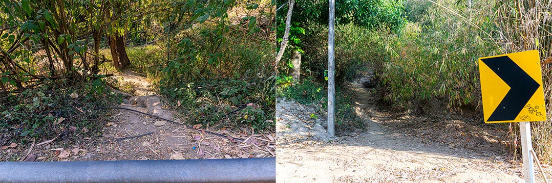 Querung der Straße Querung der Straße