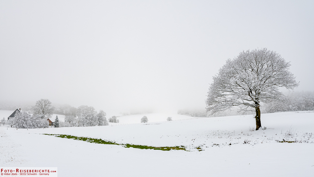 Fotografieren im Schnee und Nebel Fotografieren im Schnee und Nebel