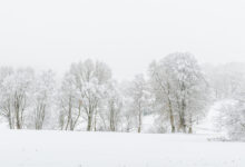 Fotografieren im Schnee und Nebel 11 Winterliche Schneelandschaft