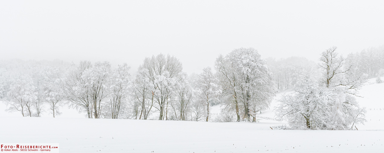 Fotografieren im Schnee und Nebel 1 Winterliche Schneelandschaft