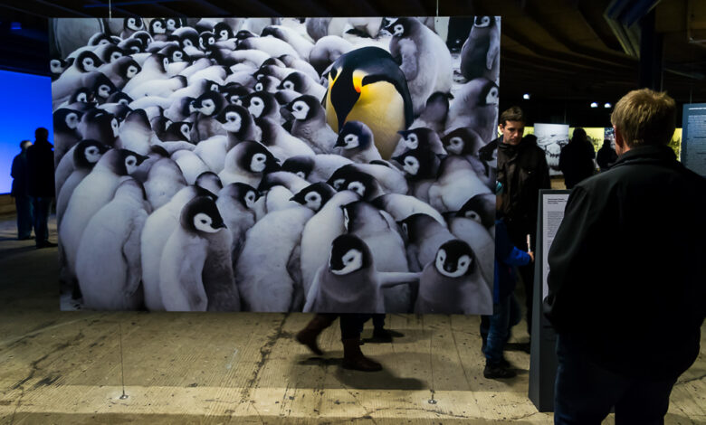 Austellung - Wunder der Natur 03