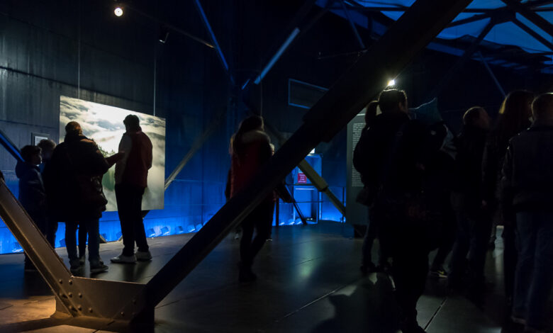 Austellung - Wunder der Natur 04