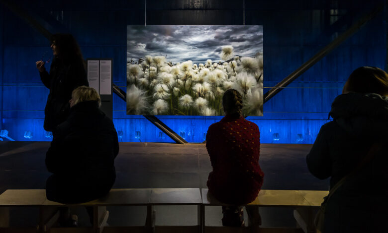 Austellung - Wunder der Natur 06