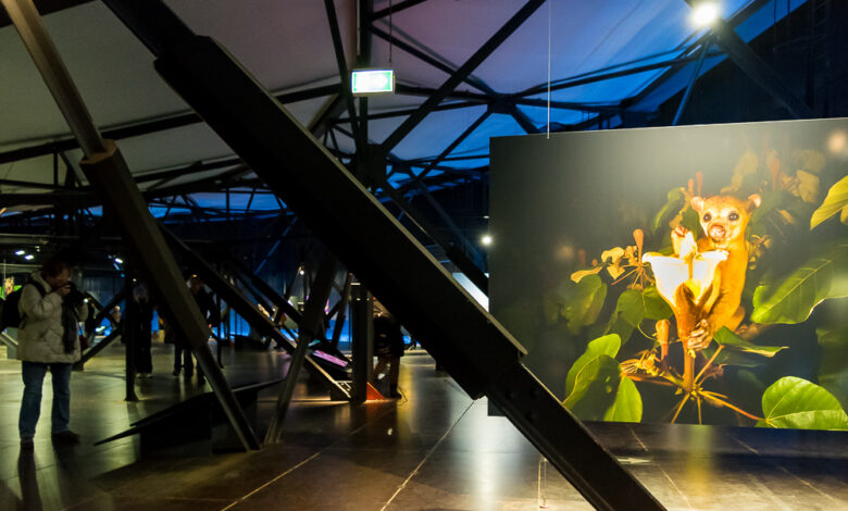 Austellung - Wunder der Natur 07