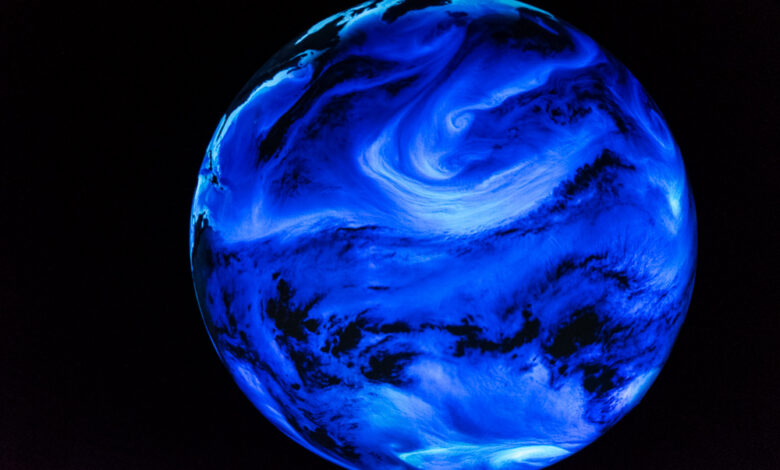 Austellung - Wunder der Natur 12