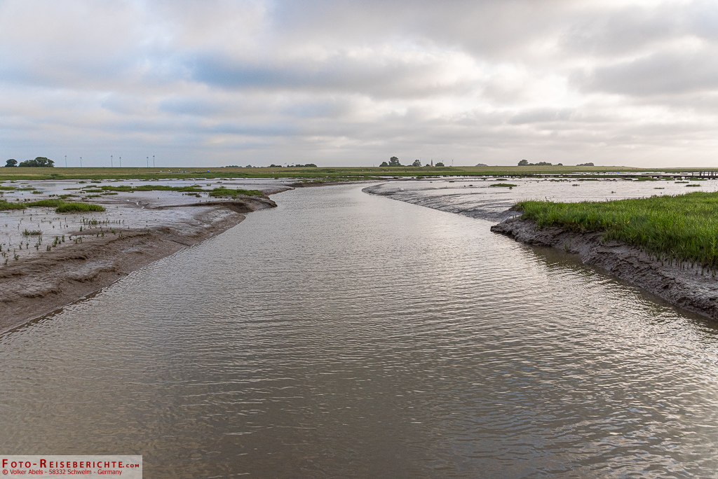 Die Flut kommt - Naturerlebnispfad Langwarder Groden in Butjadingen Die Flut kommt - Naturerlebnispfad Langwarder Groden in Butjadingen
