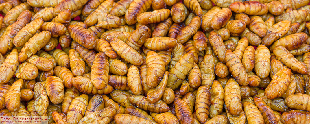 Insekten Essen in Thailand - ein proteinreicher Snack 1 Geröstete Maden - Thailand - foto-reiseberichte.com