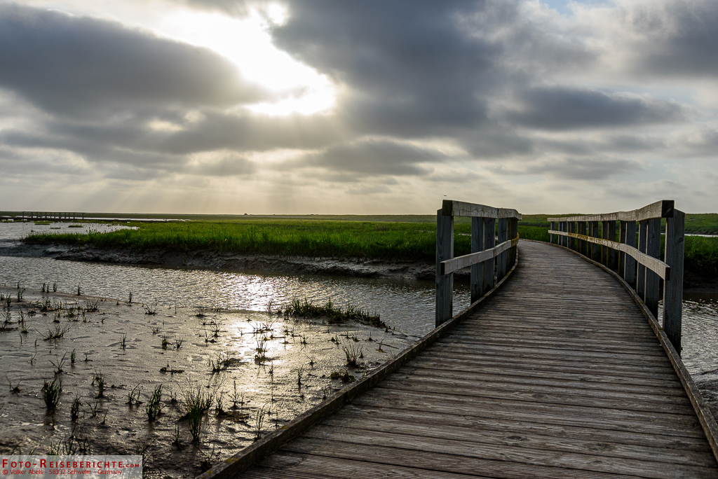 Ein Holzsteg führt über Wattbereiche im Nationalpark Langwarder Groden Holzsteg - Naturerlebnispfad Langwarder Groden in Butjadingen